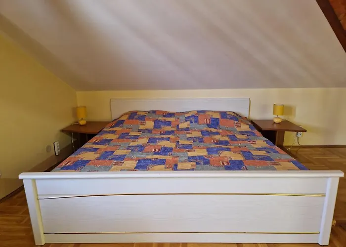 Danube Duplex 斯梅代雷沃