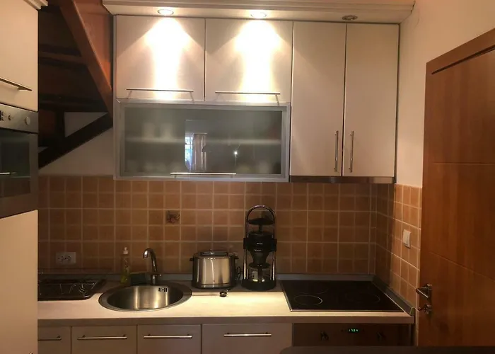 Danube Duplex 公寓 斯梅代雷沃