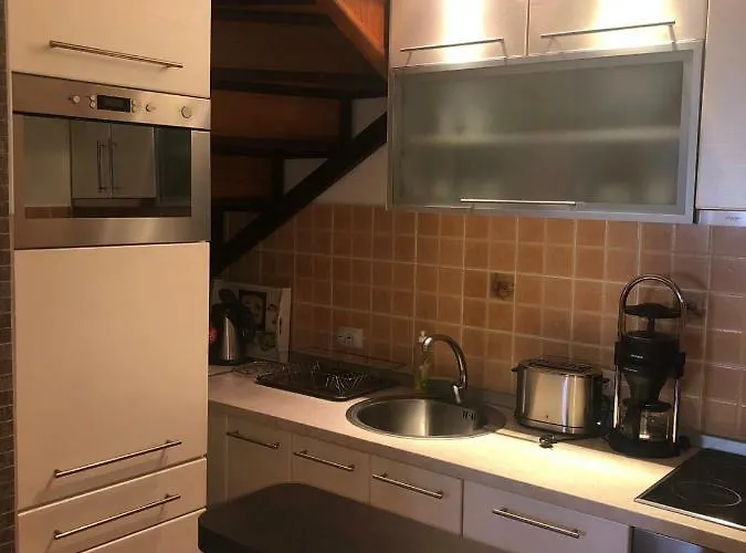 Danube Duplex 公寓