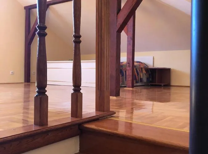 Danube Duplex 公寓